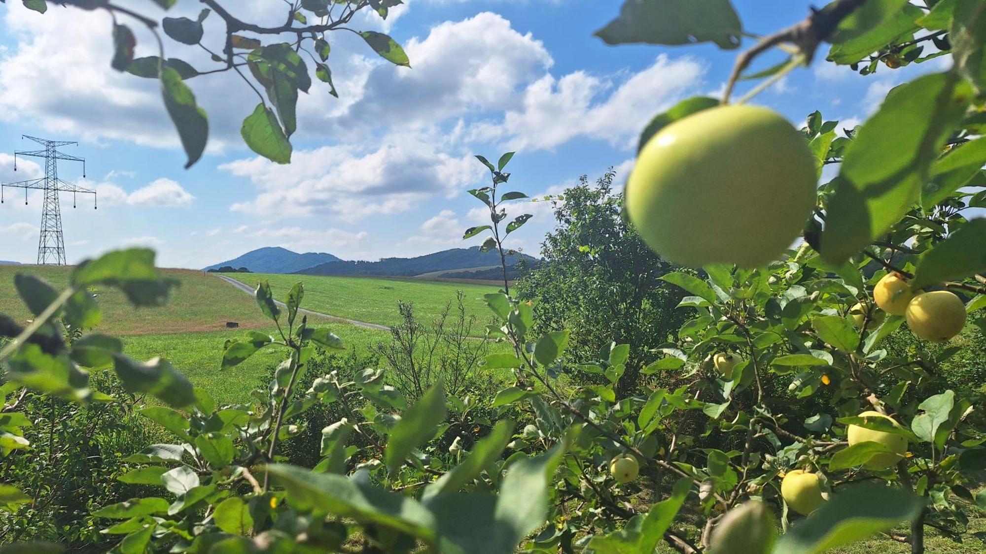 Domek Pod Jabloni Tichá Exterior foto